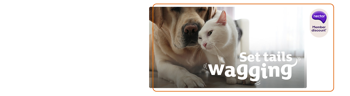 Set tails wagging cat and dog pet insurance