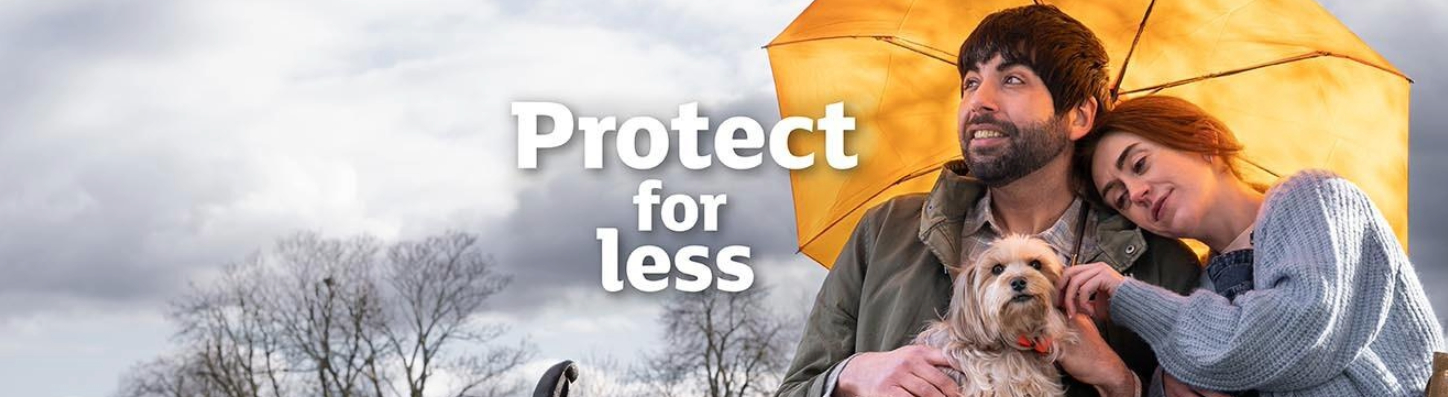 Dog insurance main banner