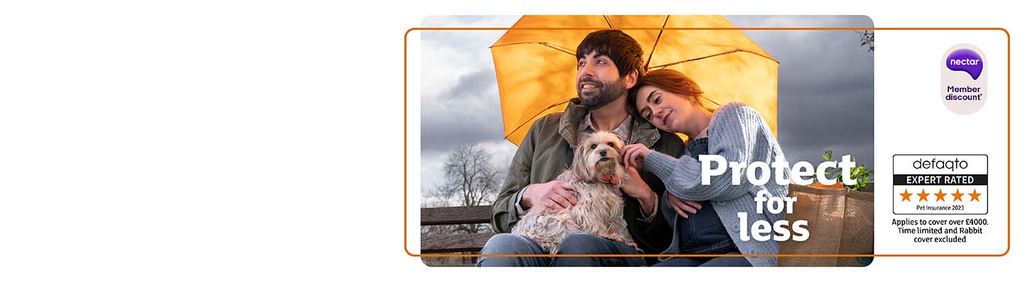 Cat insurance main banner