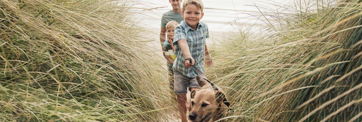 Hobbies for you and your dog banner image Hobbies for you and your dog banner image